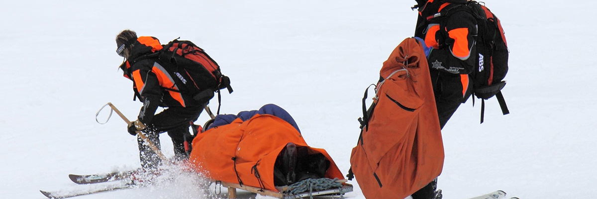 원서접수 및 조회